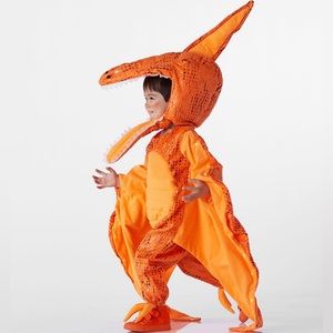 Pottery barn kids pterodactyl costume.